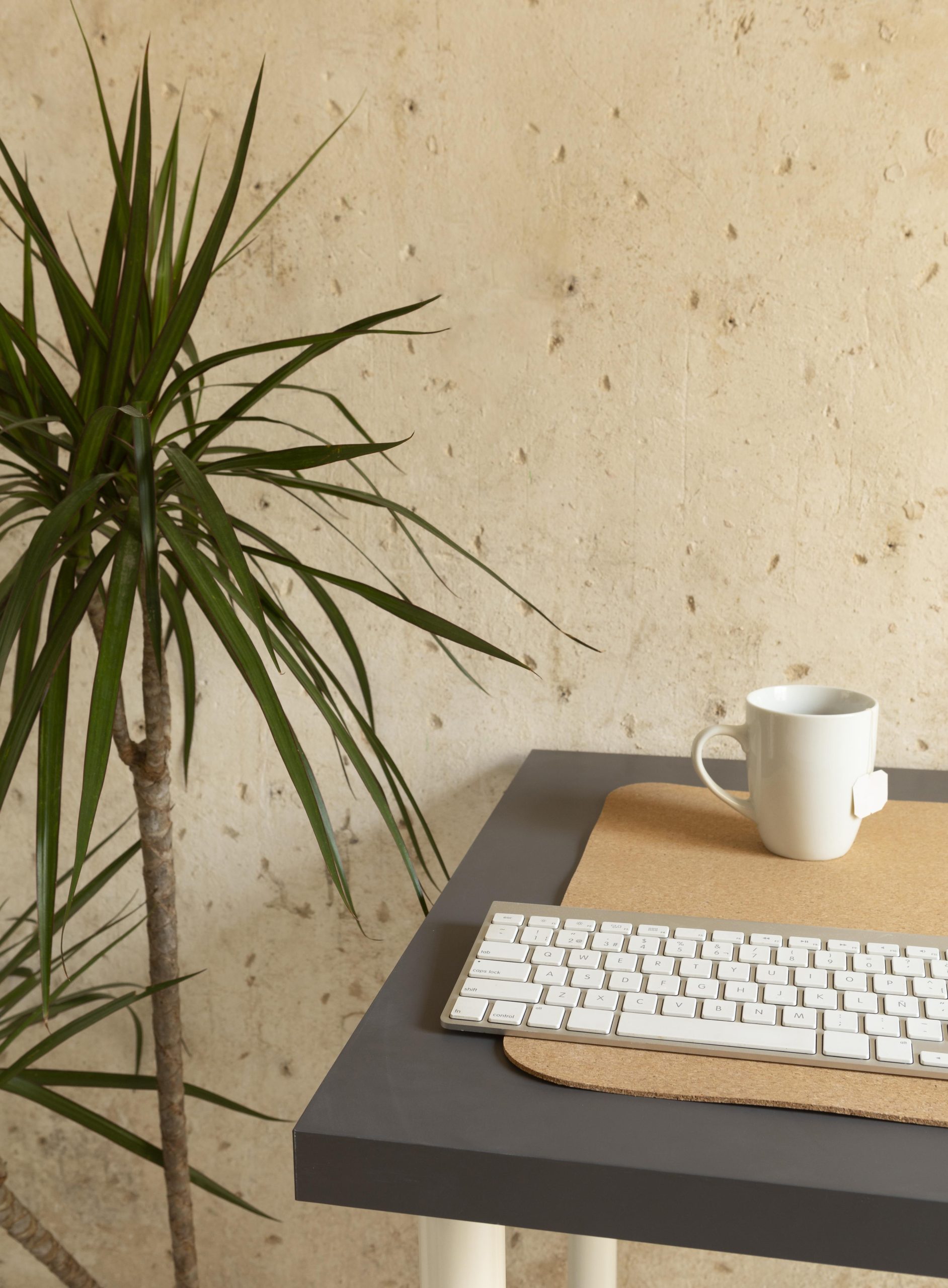 Automatiser son business quand tu es solo : par où commencer